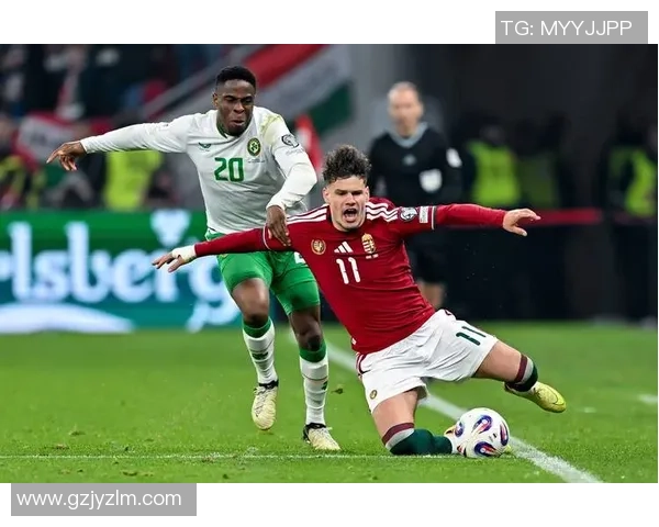 爱尔兰足球历史十大传奇球星盘点及其成就解析